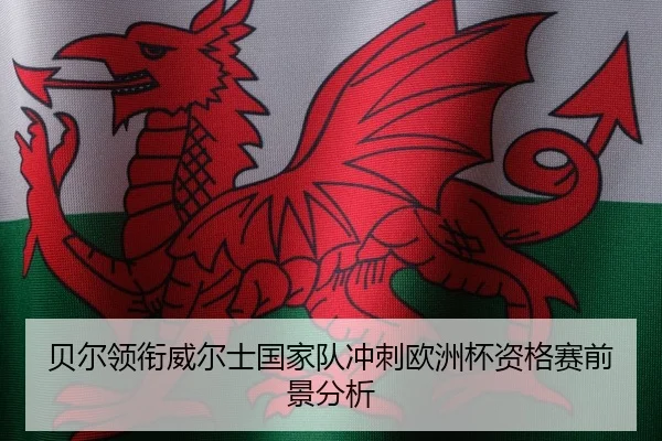 贝尔领衔威尔士国家队冲刺欧洲杯资格赛前景分析